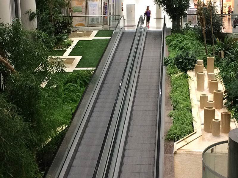 Mantenimiento de jardines en Madrid